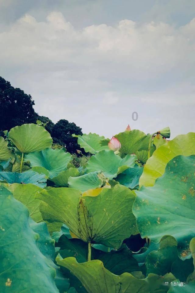 低保户住院为什么还有起付线？游戏画面